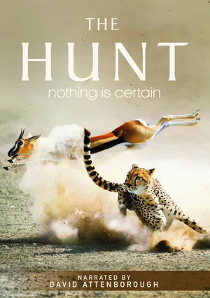 The hunt